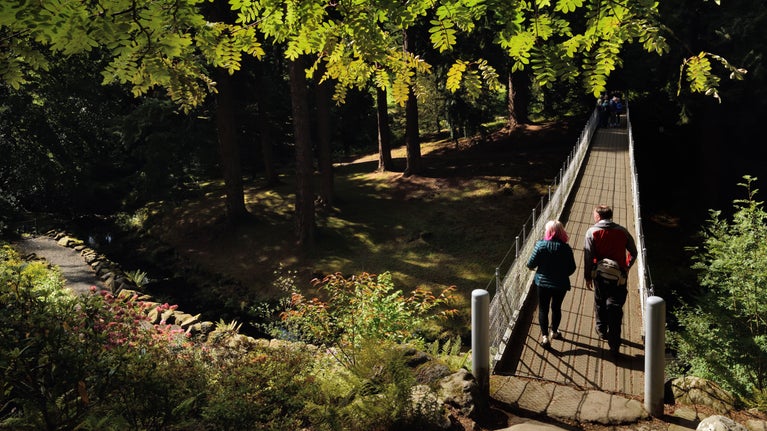 Two visitors are walking across the Iron Bridge at Cragside. It's a sunny day and light is shining through the canopy of an oak tree. In the distance are the large trunks of the giant trees in the Pinetum.